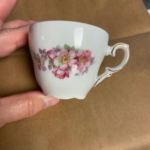 1 - Schumann Arzberg Bavaria Wild Rose Demitasse cup (no saucer)